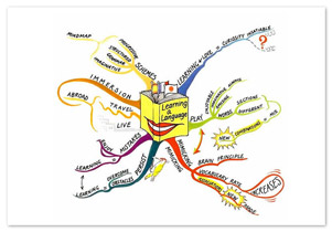 Mind Mapping for Studying
